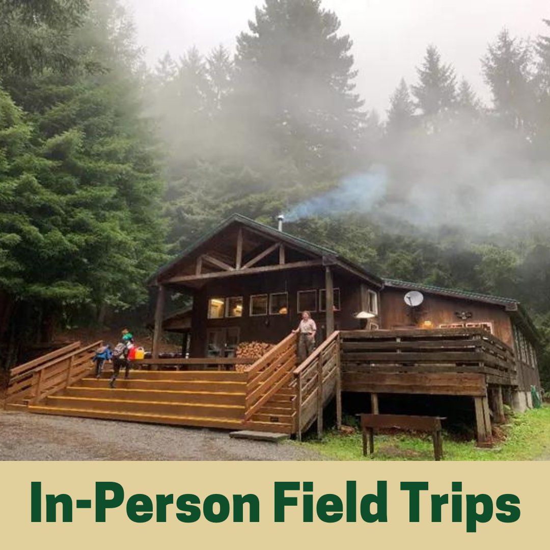 In-Person Field Trips